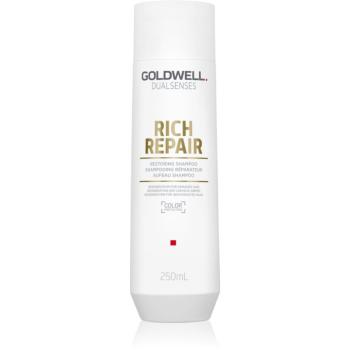 Goldwell Dualsenses Rich Repair obnovujúci šampón pre suché a poškodené vlasy 250 ml