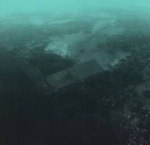 PS I Love You, FOR THOSE WHO STAY, CD