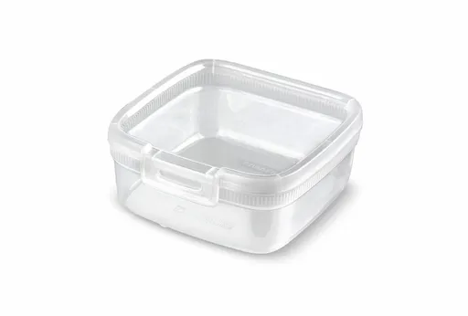 CURVER Dóza SNAP BOX 0,9L | transparentná