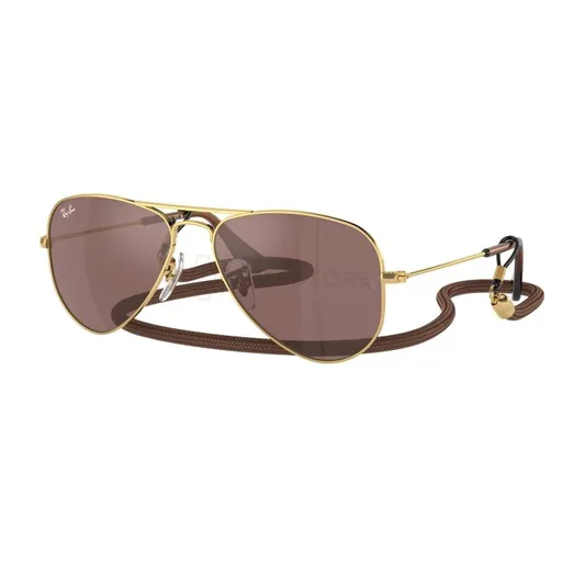 Ray-Ban RJ9506S 223/6G 52