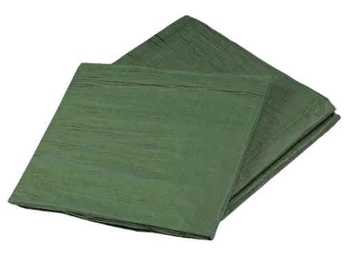 DEN BRAVEN PROFI zakrývacia plachta s kovovými okami 2 x 3 m