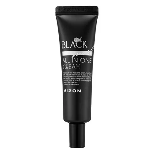MIZON Pleťový krém s filtrátom sekrétu Afrického čierneho slimáka 90 % Black Snail All In One 35 ml
