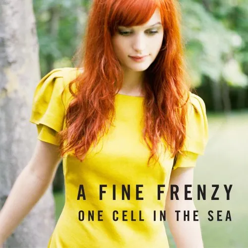 A Fine Frenzy, ONE CELL IN THE SEA, CD
