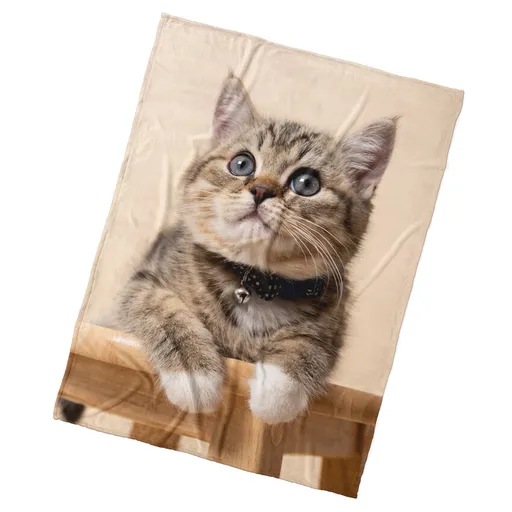 BedTex Detská deka Mačiatko Rolnička, 150 x 200 cm