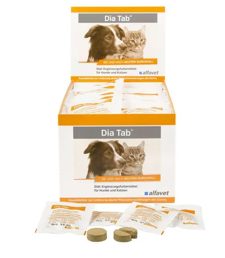 Alfavet Dia Tab žuvacie tbl. 60 tbl.