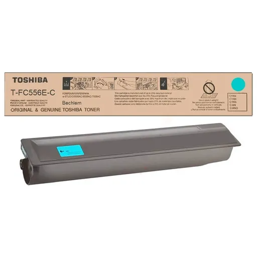 TOSHIBA 6AK00000350 - originálny