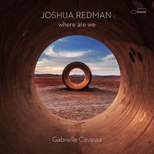 Redman Joshua: Where Are We LP