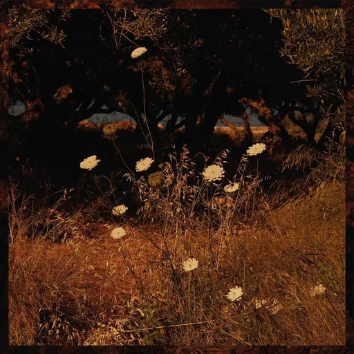 Earth Patterns - Szun Waves LP