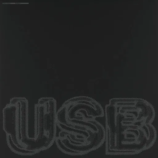 Fred Again - USB / Vinyl / 2 LP