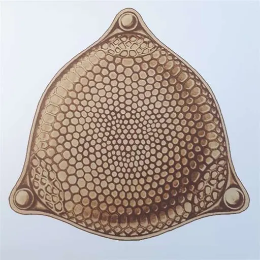 DRY YOUR TEARS REMIX