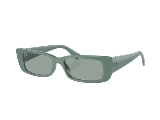 Ray-Ban Teru RB4425 676282