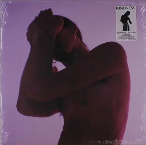 SOMETHING LIKE A WAR