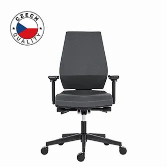 Powerton ERGO SIMA Kancelářské ergonomické křeslo, Šedé