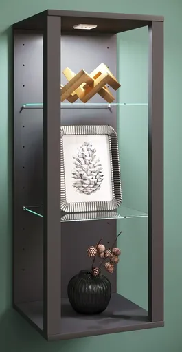 VCM Nástěnná vitrína Glasol MW, antracitová