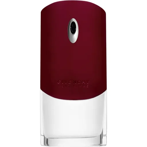 GIVENCHY Givenchy Pour Homme toaletná voda pre mužov 100 ml