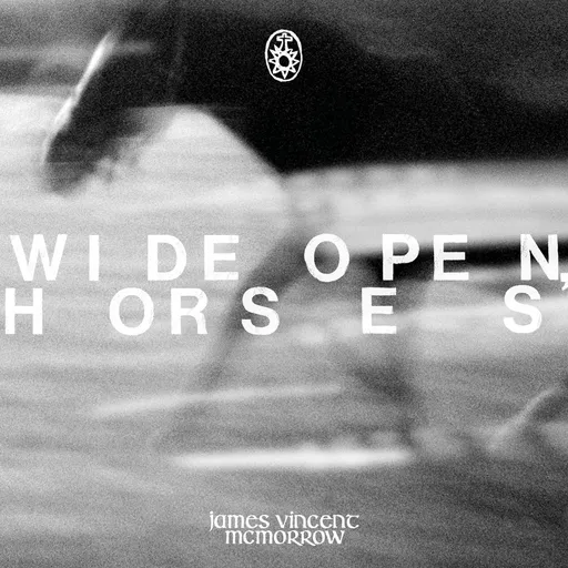 James Vincent McMorrow, WIDE OPEN, HORSES, CD