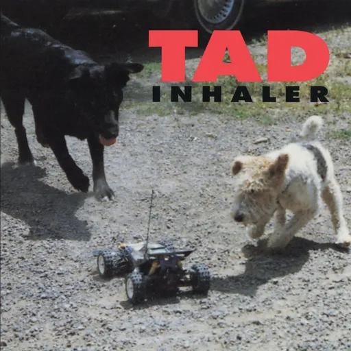 Tad, Inhaler, CD