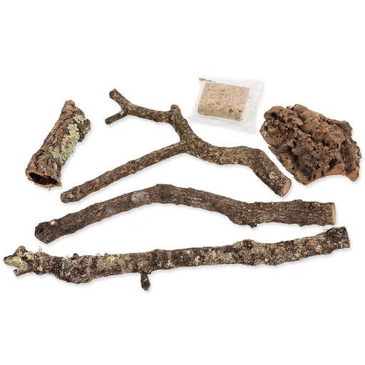 Dekorácia Repti Planet z korku, konárov a rašeliníka cca 700g