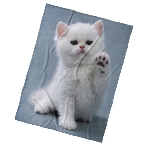 BedTex Detská deka Mačiatko Daj Pac, 150 x 200 cm