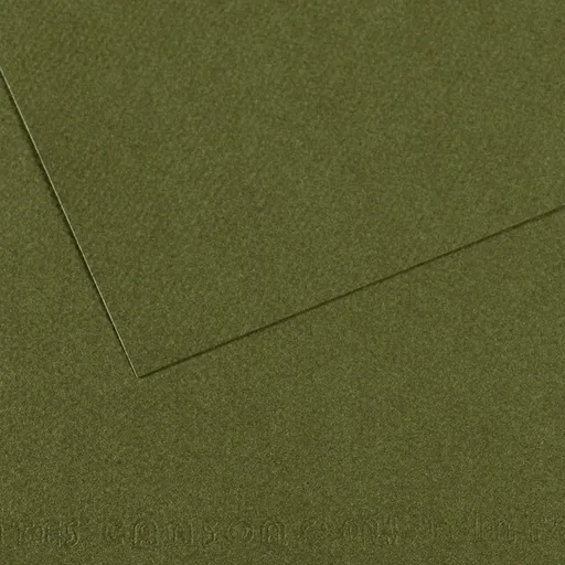 CANSON MI-TEINTES - Buničinou farbený papier 448 - vert ocean, 50 ks