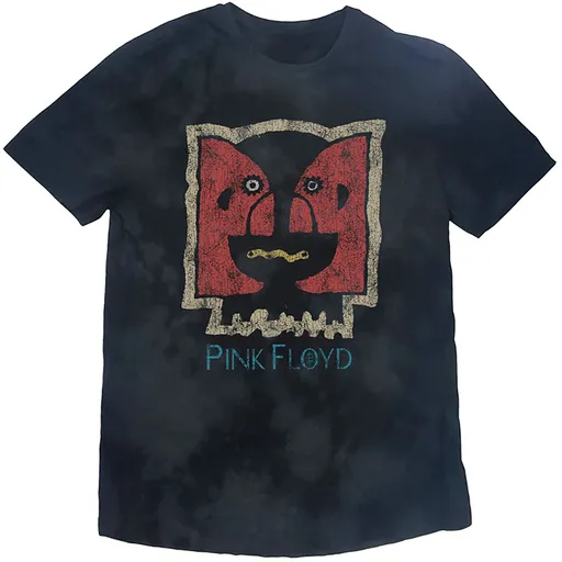 Pink Floyd tričko Division Bell Vintage Čierna XXL