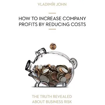 HOW TO INCREASE COMPANY PROFITS BY REDUCING COSTS
