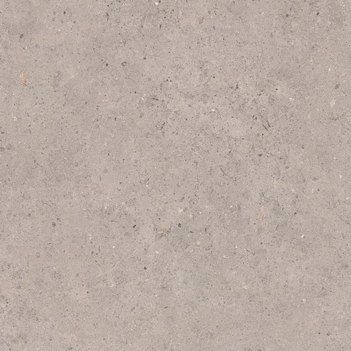 Dlažba Pastorelli Biophilic grey 60x60 cm mat P009459