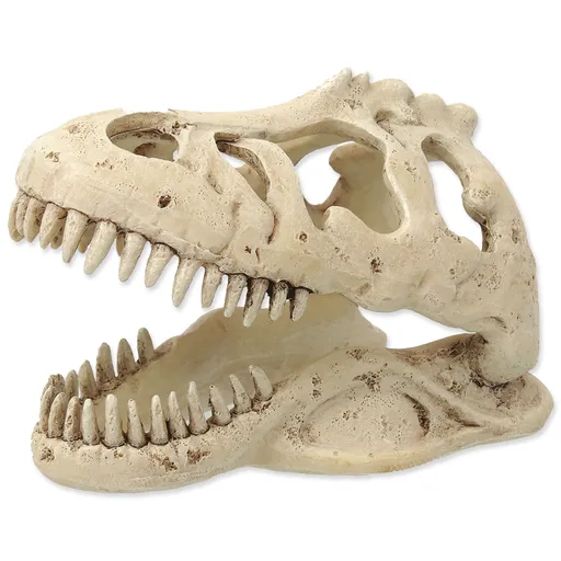 Repti Planet T-Rex lebka 13,3 cm