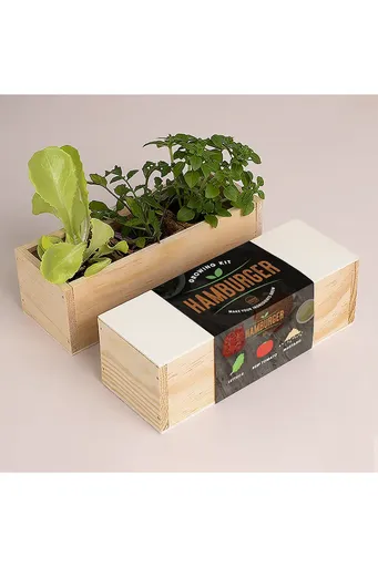 Sada na pestovanie rastlín RESETEA Hamburger Growing Kit 21 x 7,8 x 6,5 cm