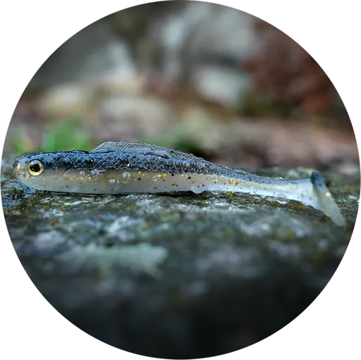 Redbass gumová nástraha ripper kicker bass - xx 155 mm 23 g