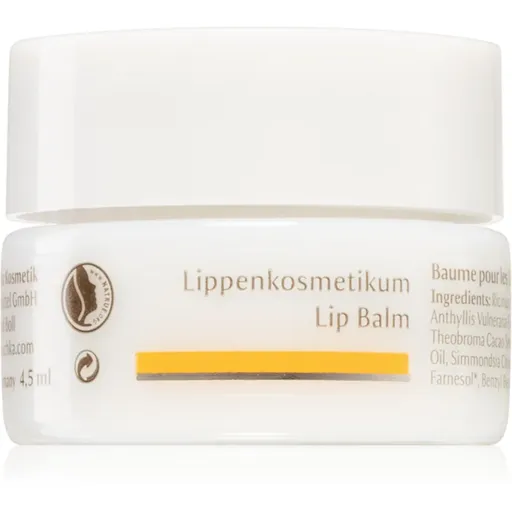 Dr. Hauschka Eye And Lip Care balzam na pery s vyživujúcim účinkom 4.5 ml