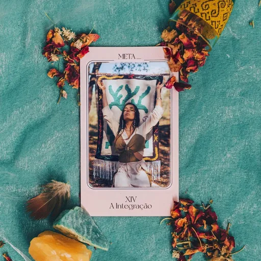 XIV - a integracao - Meta LP