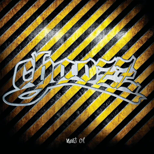 Chaozz - Best Of / Vinyl / 2 LP