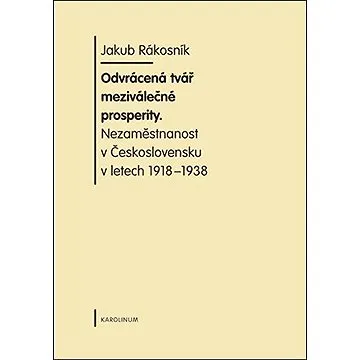 Odvrácená tvář meziválečné prosperity (9788024628172)