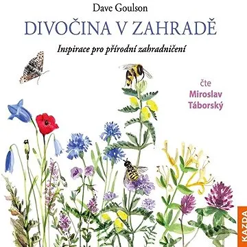 Divočina v zahradě