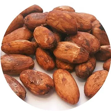 Lifefood Nepražené kakaové bôby RAW BIO nelúpané (1010N)