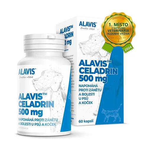 ALAVIS Celadrin 60 tabliet