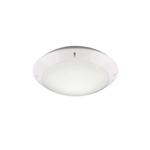 Reality Camaro stropné osvetlenie biela r60501031 RER60501031