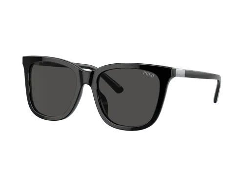 Polo Ralph Lauren PH4201U 500187