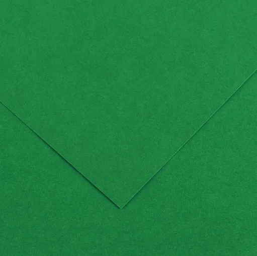 CANSON COLORLINE - Obojstranné farebné papiere 50 x 65 cm, 30 - moss green, 10 ks