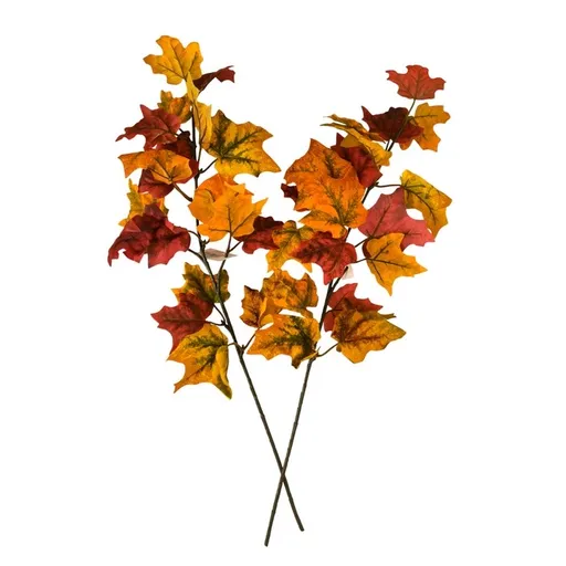 Súprava vetiev Javor 58 cm, 2 ks