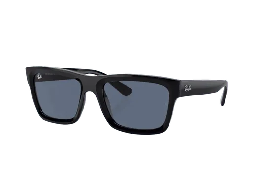Ray-Ban Warren RB4396 667780