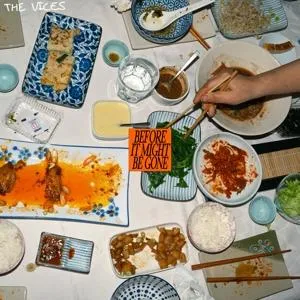 The Vices, Vices Before it might be gone 1 CD, CD