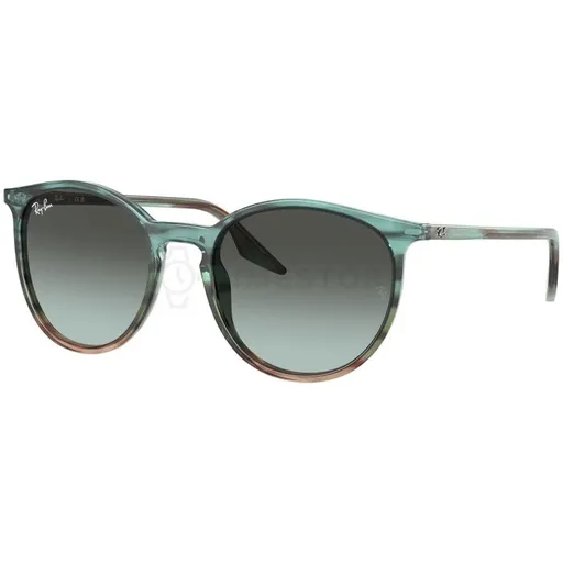 Ray-Ban  RB2204 1394GK 51