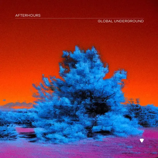 Global Underground, GLOBAL UNDERGROUND - GLOBAL UNDERGROUND: AFTERHOURS 9 CD, CD