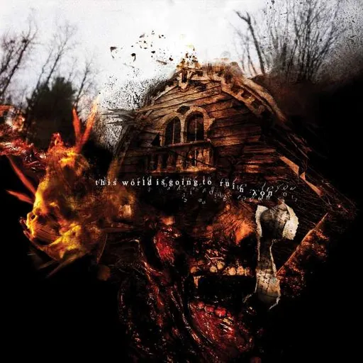 Vein.fm, THIS WORLD IS GOING TO RUIN YO, CD