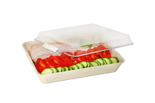 PETRA PLAST - Podnos s poklopom DUO LOCK veľký 20,5x8x26,5cm, rôzne farby, umelá hmota