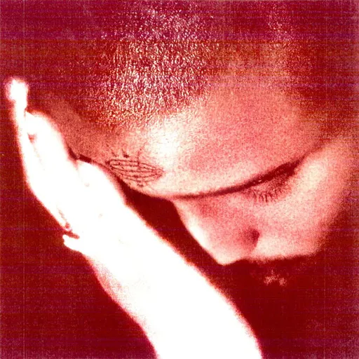 NOURISHED BY TIME - THE PASSIONATE ONES 1 LP