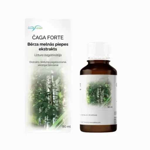Befungin forte - extrakt z čagy - 90 ml - HealthNA