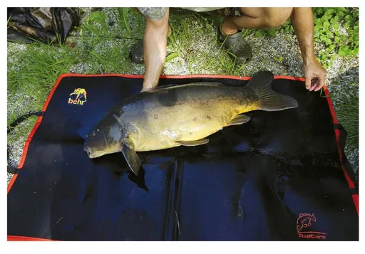 Behr neoprenová podložka redcarp allround mat